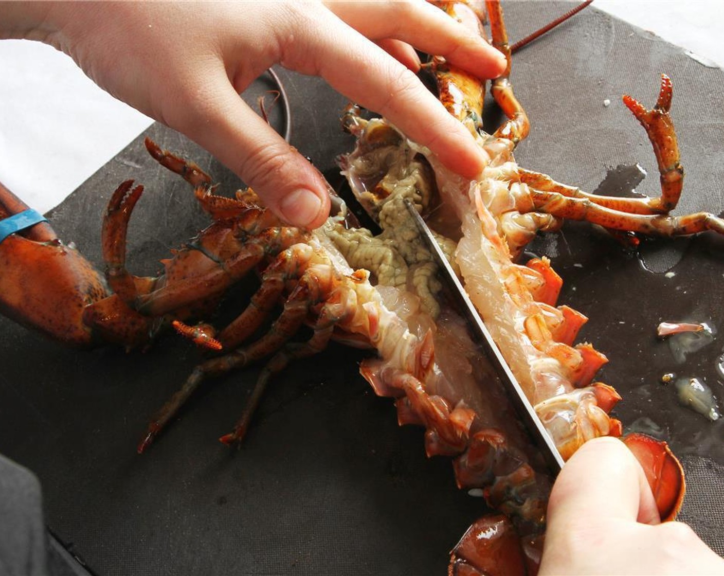 step 3 Butterfly the lobster by slicing through the lobster tail.