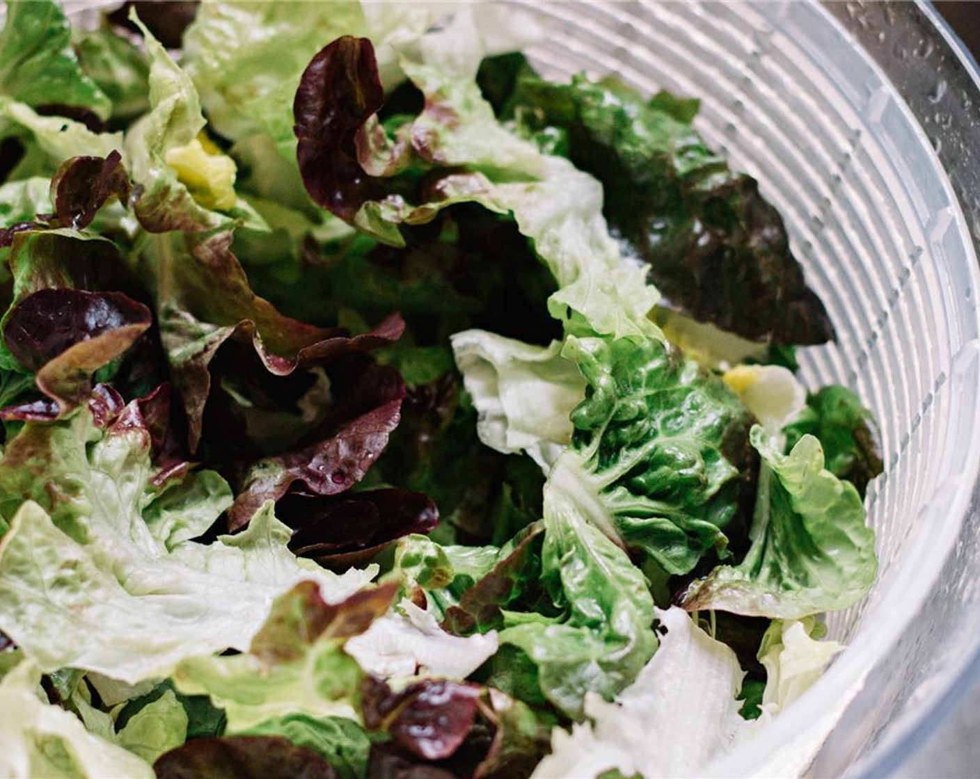 step 9 Wash and dry the torn Romaine Lettuce (1 head).