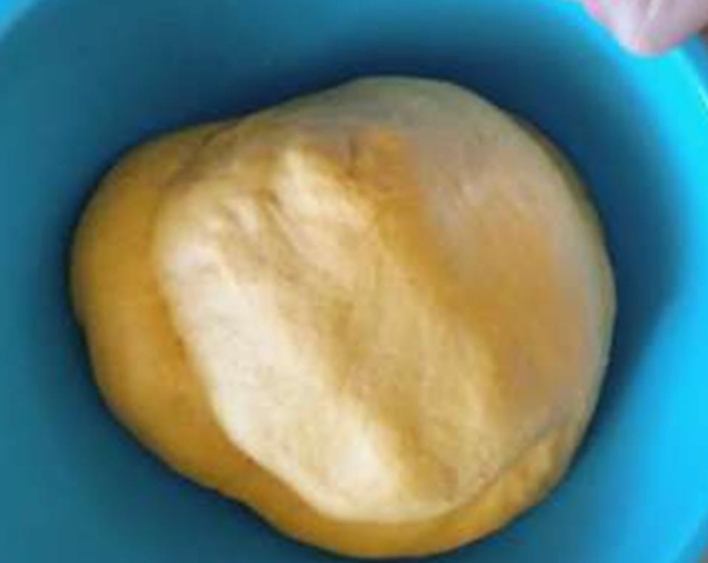 step 3 Add Canned Pumpkin Purée (3/4 cup) and Salt (1 tsp) and mix together. Mix in Bread Flour (2 1/2 cups) and Granulated Sugar (4 Tbsp), 1/2 cup at a time until the dough cleans itself from the side of the bowl. Use dough hook attachment to knead dough for 6-8 minutes.