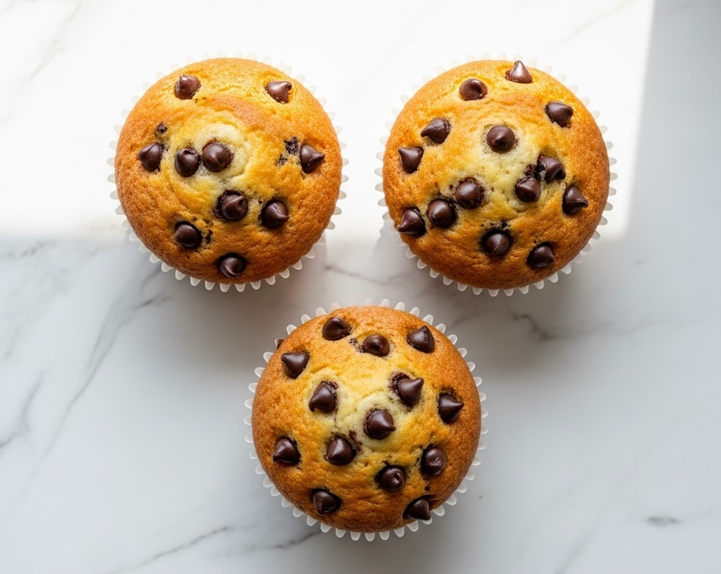 Chocolate Chip Muffins