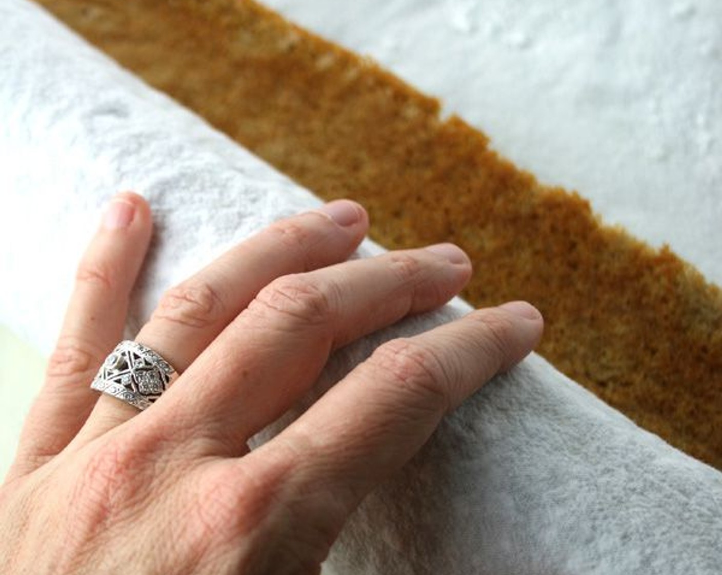 step 10 Roll up cake and towel together, starting with narrow end. Cool on wire rack.