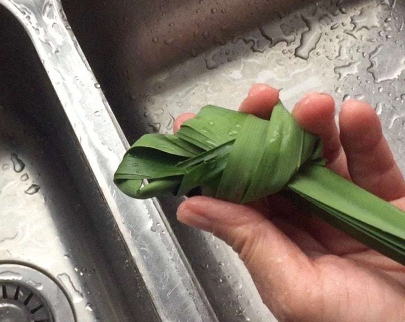 step 4 Wash, rinse and knot Pandan Leaves (to taste).