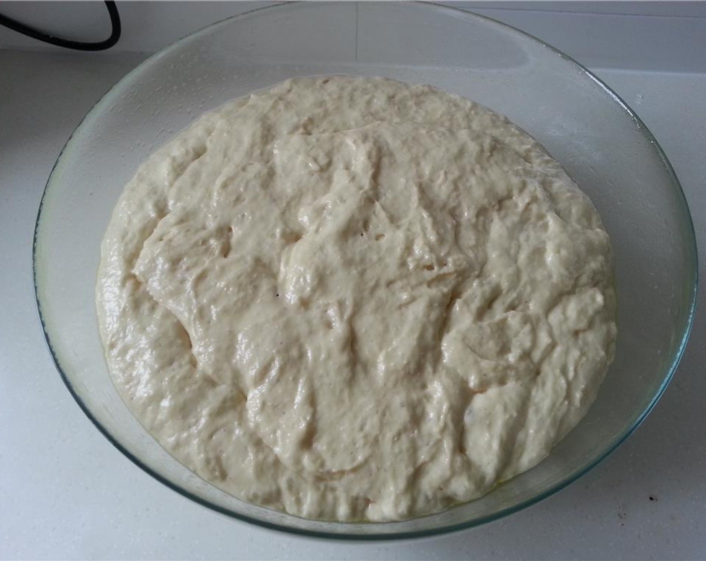 step 6 The dough will double in size.