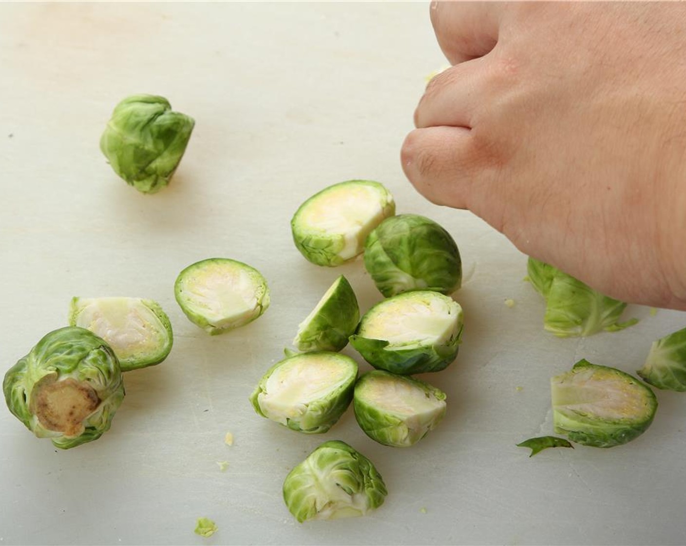 step 22 Split sprout in half vertically through the stem.