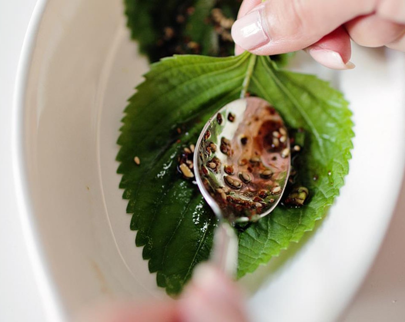 step 2 Use 1/4 tsp of marinade and use a spoon to spread over each Perilla Leaves (60). Stack the next leaf and continue until they are covered with marinade.