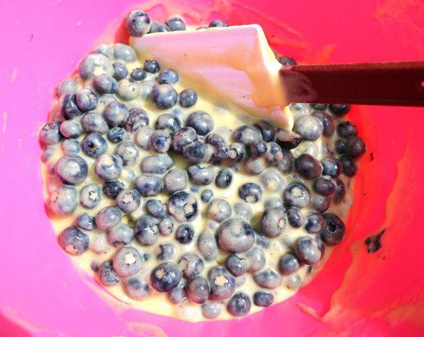 step 6 Mix the remaining 2/3 batter with Fresh Blueberries (4 cups), fill into the springform.