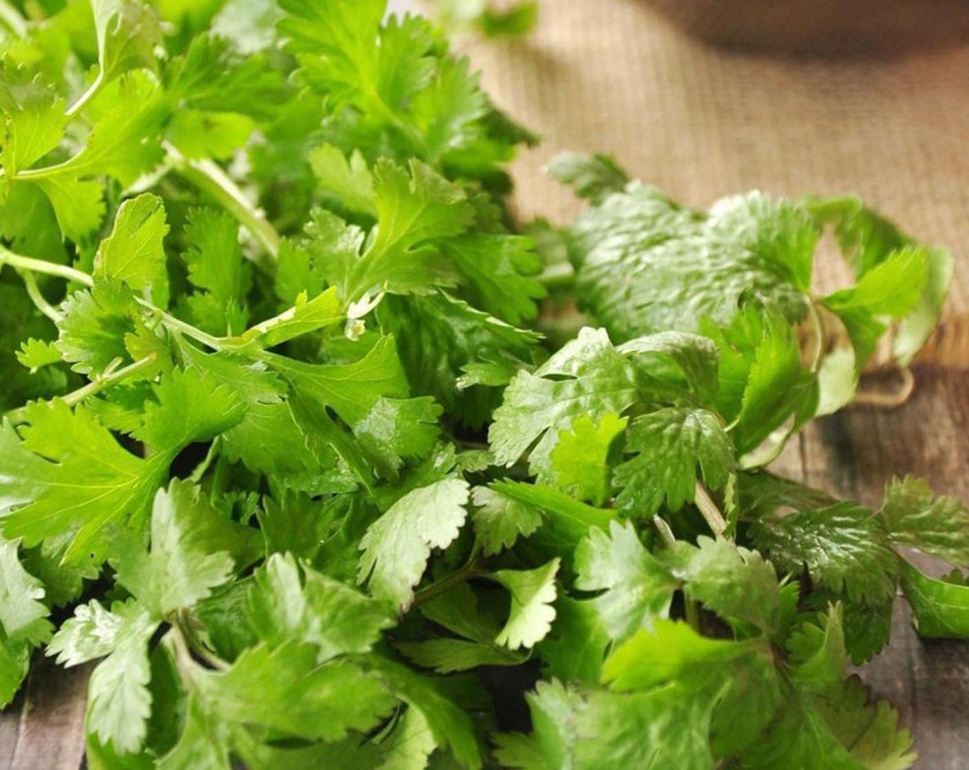 step 6 Transfer vegetables and just enough broth into a blender, add Fresh Cilantro (1 bunch) and White Onion (1/2 cup).