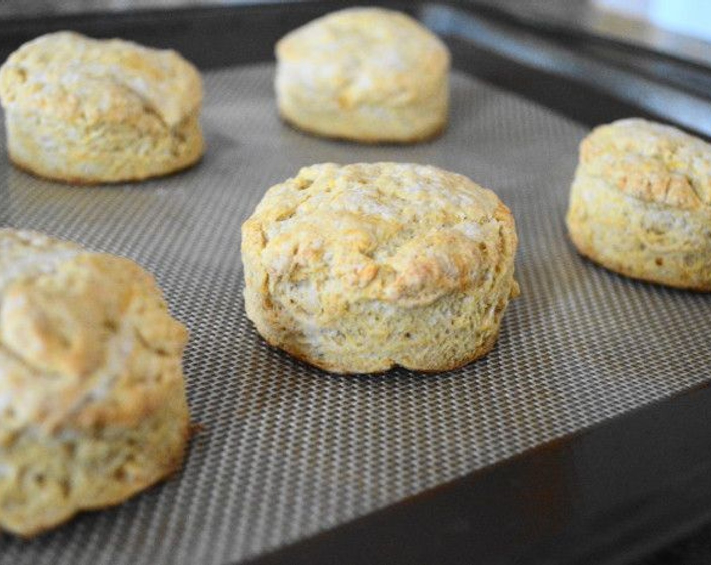 step 9 Transfer the cut out biscuits to the lined sheet tray and bake them for about 15 minutes. They should get golden around the edges.