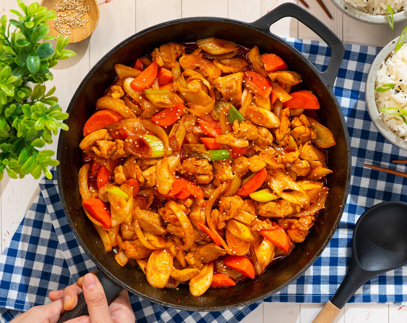 Gochujang Chicken Stir Fry with Veggies