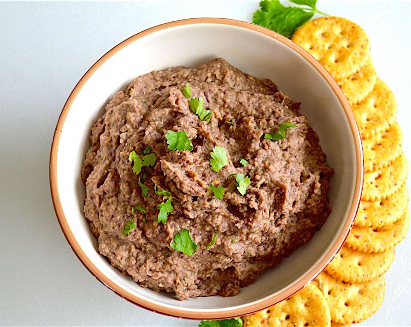 Roasted Eggplant Black Bean Dip