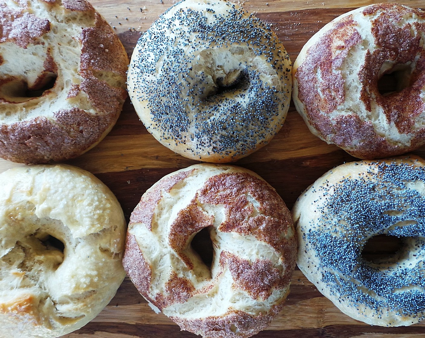 New York-Style Bagels
