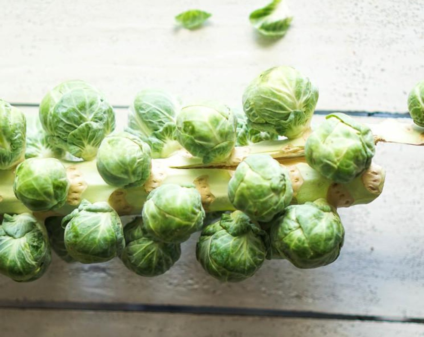 step 2 Clean the Brussels Sprouts (5 cups) by gently rinsing with water then pat dry with a paper towel. Remove any damaged or bruised outer layer leaves and discard.