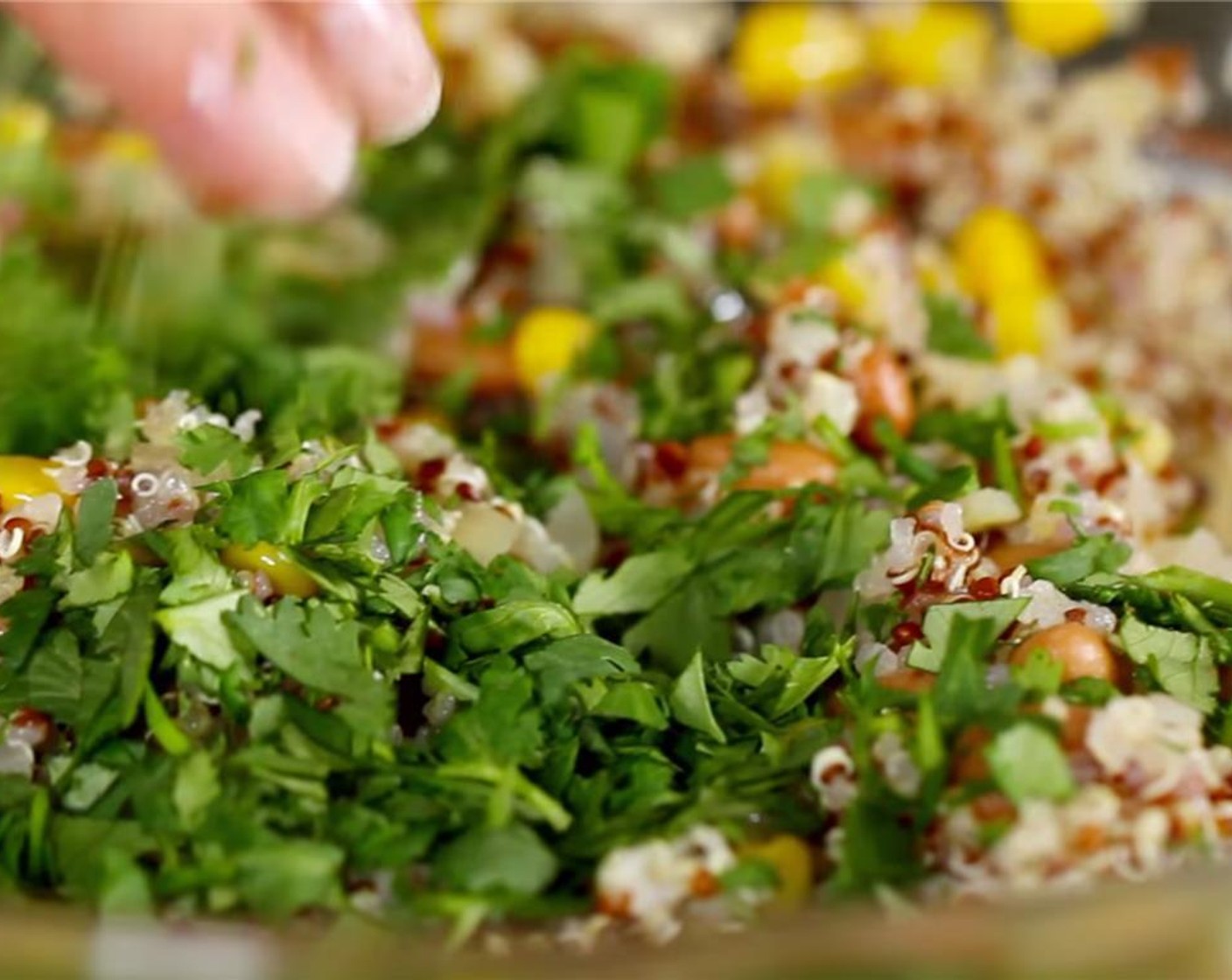 step 7 Stir the onion mixture into the quinoa. Stir in the Fresh Cilantro (3 Tbsp).