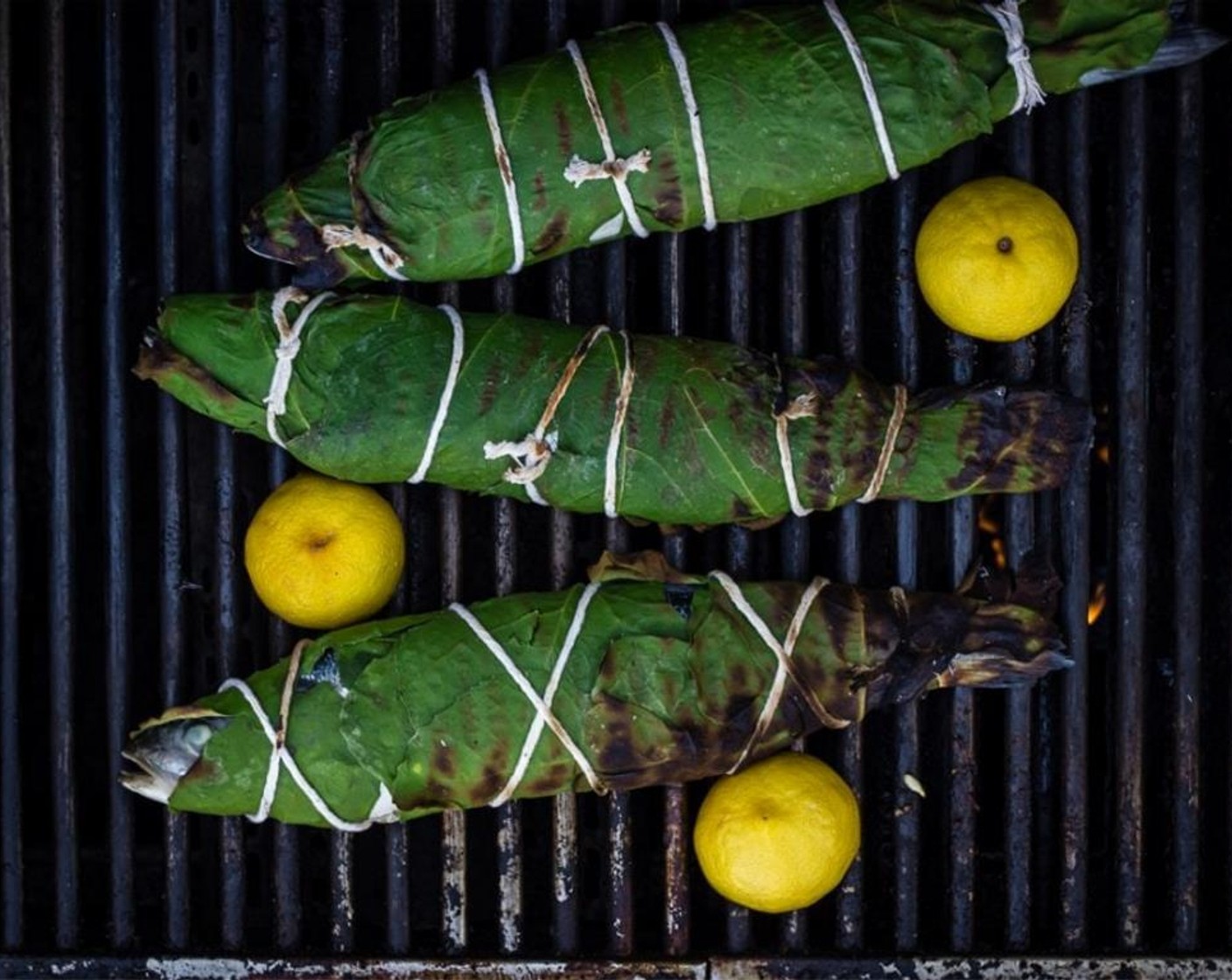 step 10 Close the lid and grill fish for 5-7 minutes, turn fish and grill the other side for 5-7 minutes.