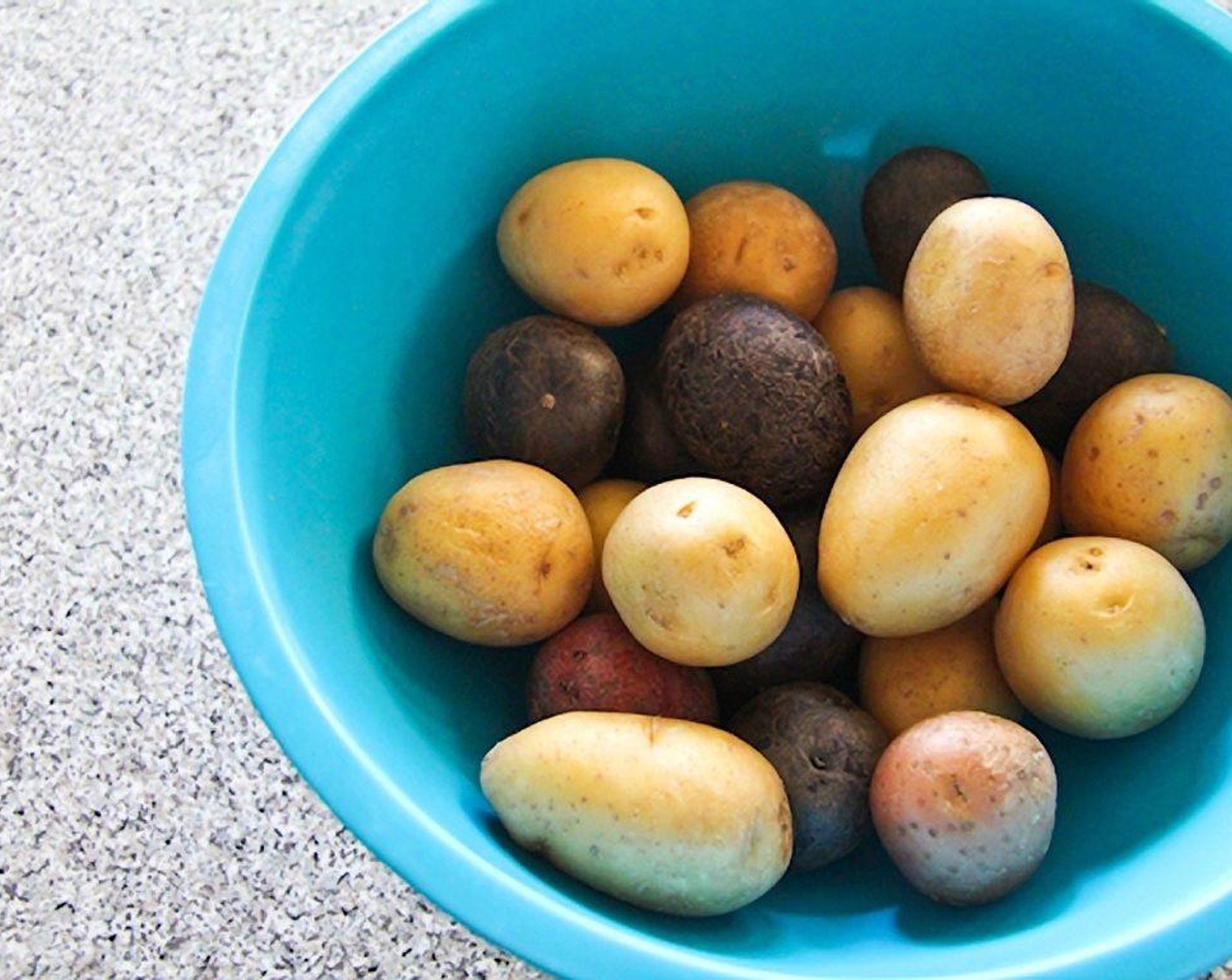 step 1 Wash your Baby Potatoes (15).