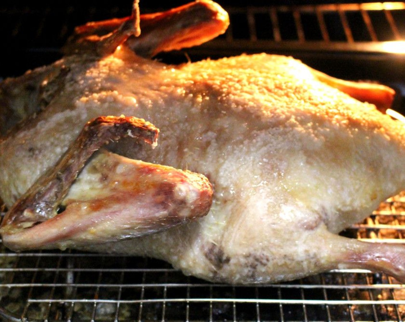 step 3 Place on a rack over a rimmed tray, to catch the fat and juices. Place into a 400 degrees F (200 degrees C) degree oven, turn down temperature to 300 degrees F (150 degrees C), roast for 3 Hours and 45 Minutes, turning every 30 Minutes.
