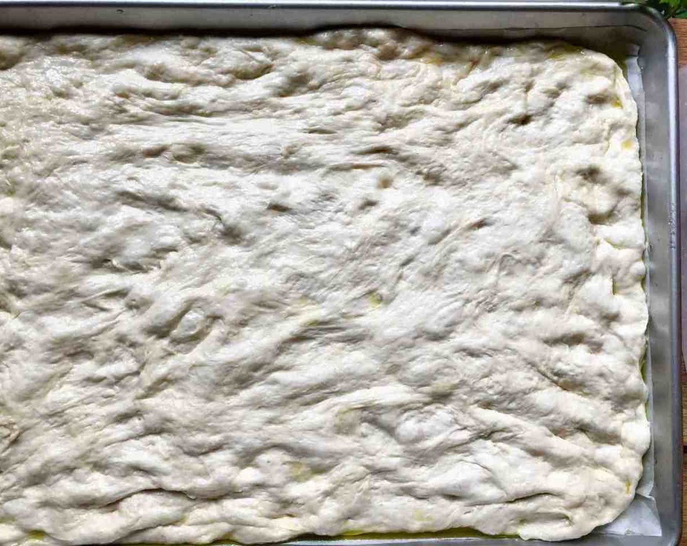 step 11 With lightly greased hands, press down on the dough, using all 10 fingers to dimple and stretch the dough outward. Pull gently on the ends and stretch them toward the corners of the sheet pan. If the dough begins to resist being stretched, let it rest for 5 minutes, then stretch it again, continuing until it fits most of the sheet pan.