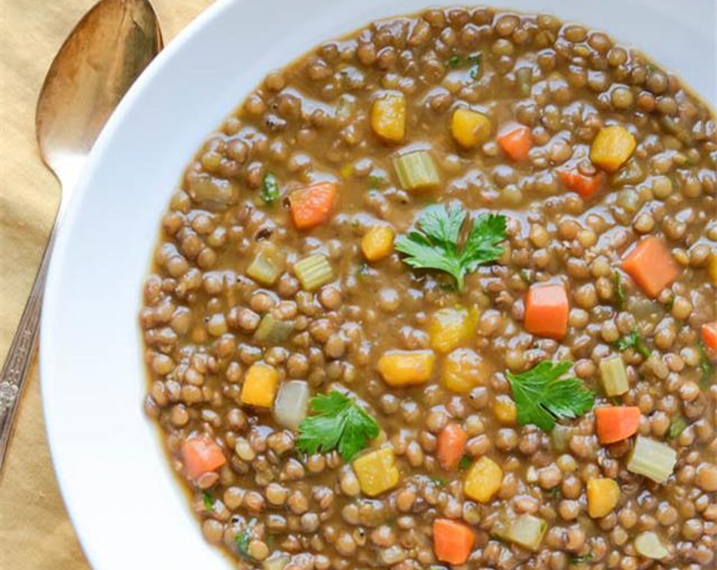 Lentil and Butternut Soup