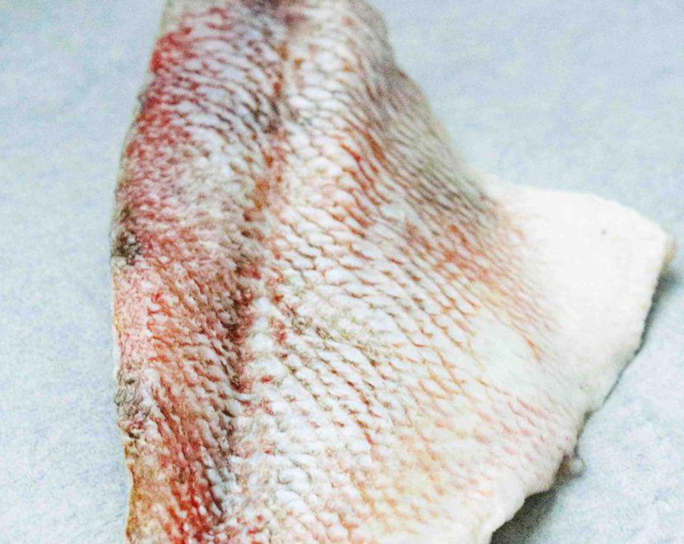 step 2 Grab the Red Snapper Fillets (4) and season them with Salt (to taste) and Ground Black Pepper (to taste).