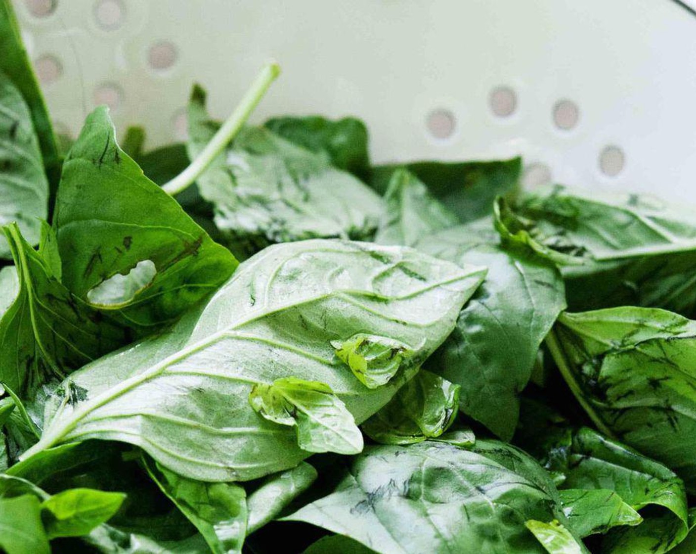 step 1 First thing first, wash and pat dry the Fresh Basil Leaves (7 cups).