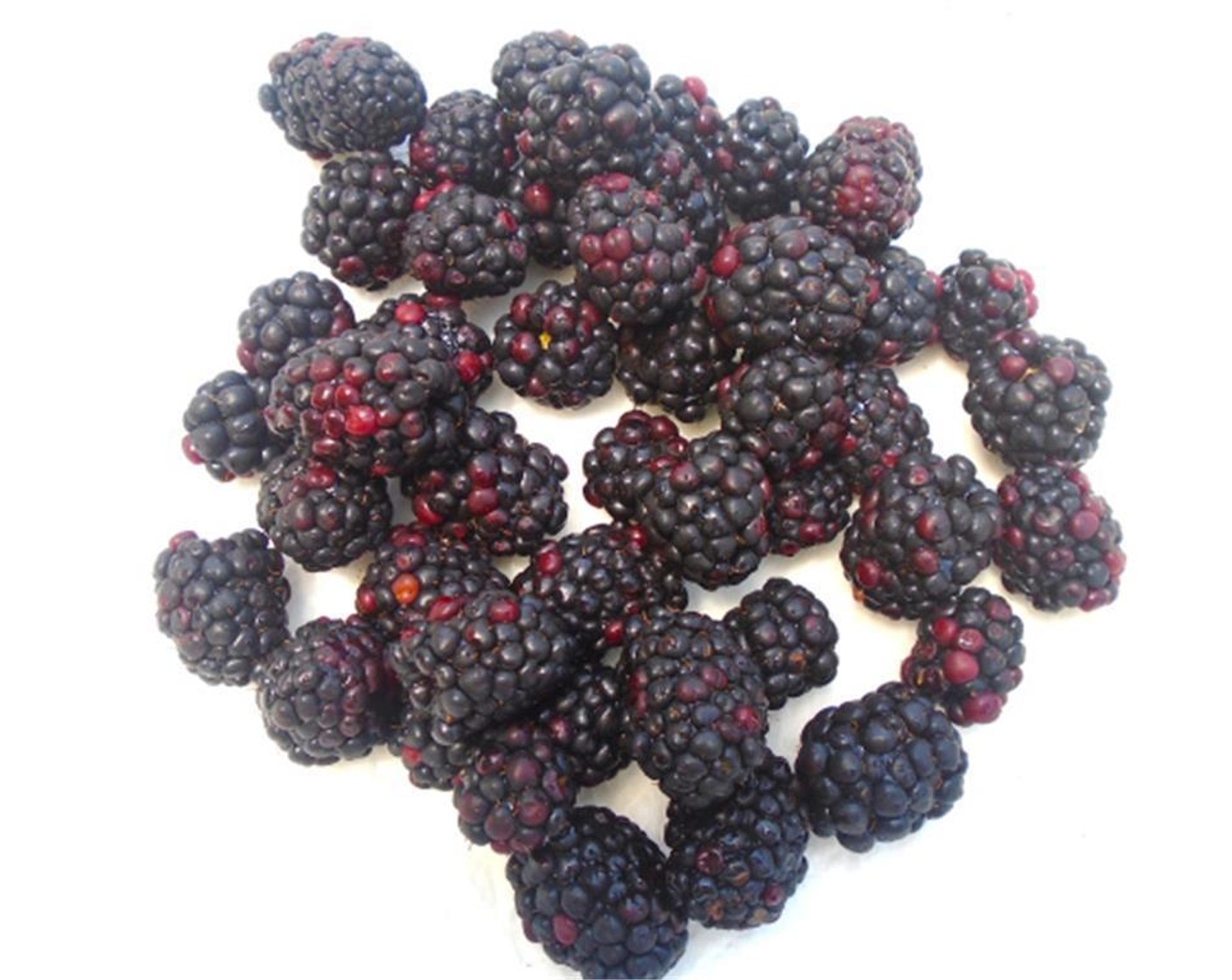 step 1 Coarsely chop Fresh Blackberries (2 cups). Reserve some for garnish.