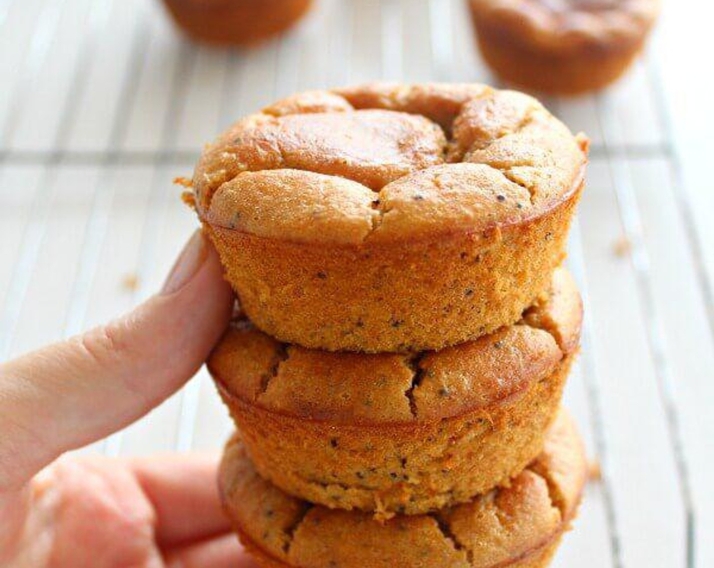 Easy Poppy Seed Blender Muffins