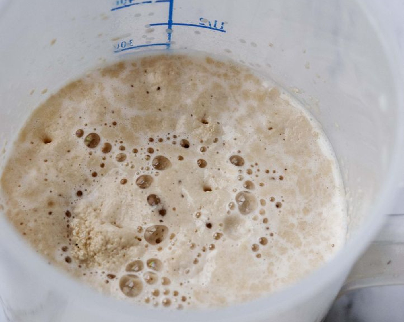 step 1 In a medium bowl, combine the warmed Non-Dairy Milk (1 cup) with the Active Dry Yeast (2 tsp) and Granulated Sugar (2 tsp). Allow to proof until frothy (about 10 minutes).