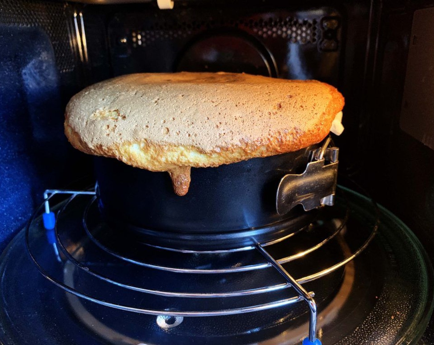 step 6 Butter a 6-inch springform pan, pour in the mixture, and bake it in the preheated oven for 30-40 minutes.