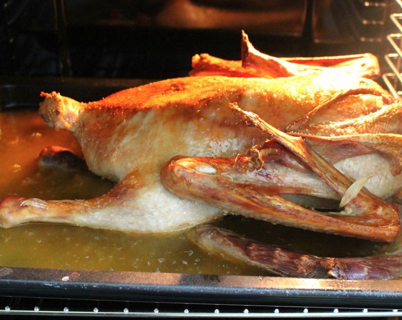 step 3 Into a deep roasting pan, add Water (4 cups), then the goose breast-side down.