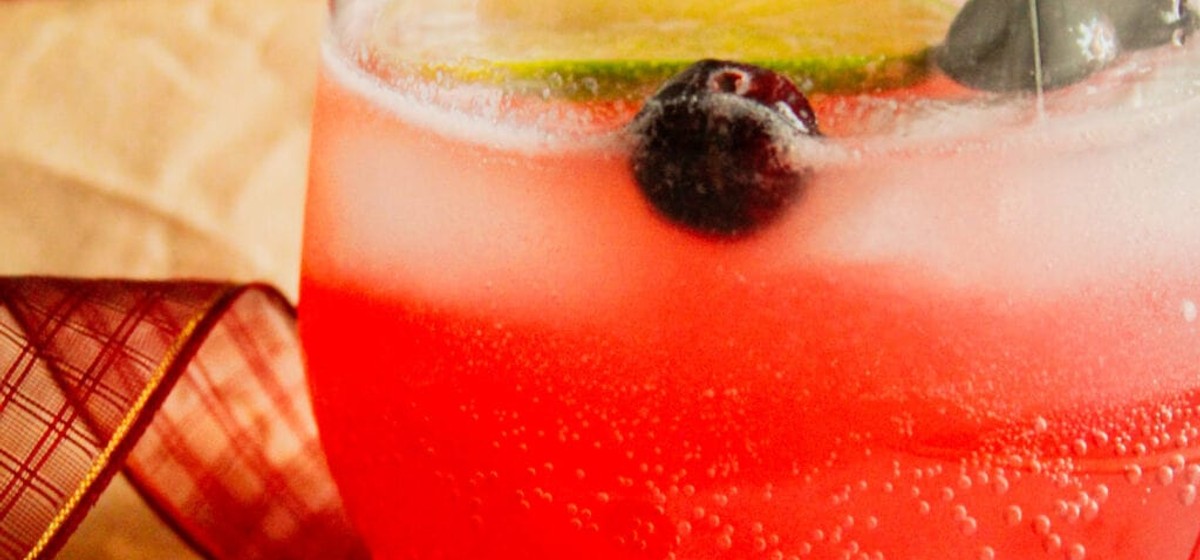 Cranberry Christmas Moscow Mule Recipe | SideChef