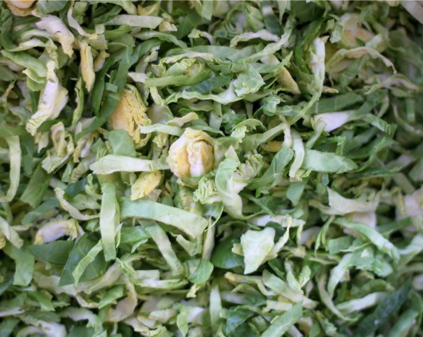 step 2 Once you have your shredded sprouts in a bowl, toss them vigorously to loosen any of the small core pieces from the shredded leaves.  Pick through the leaves to remove any pieces that might seem unpleasant to chew in a salad.