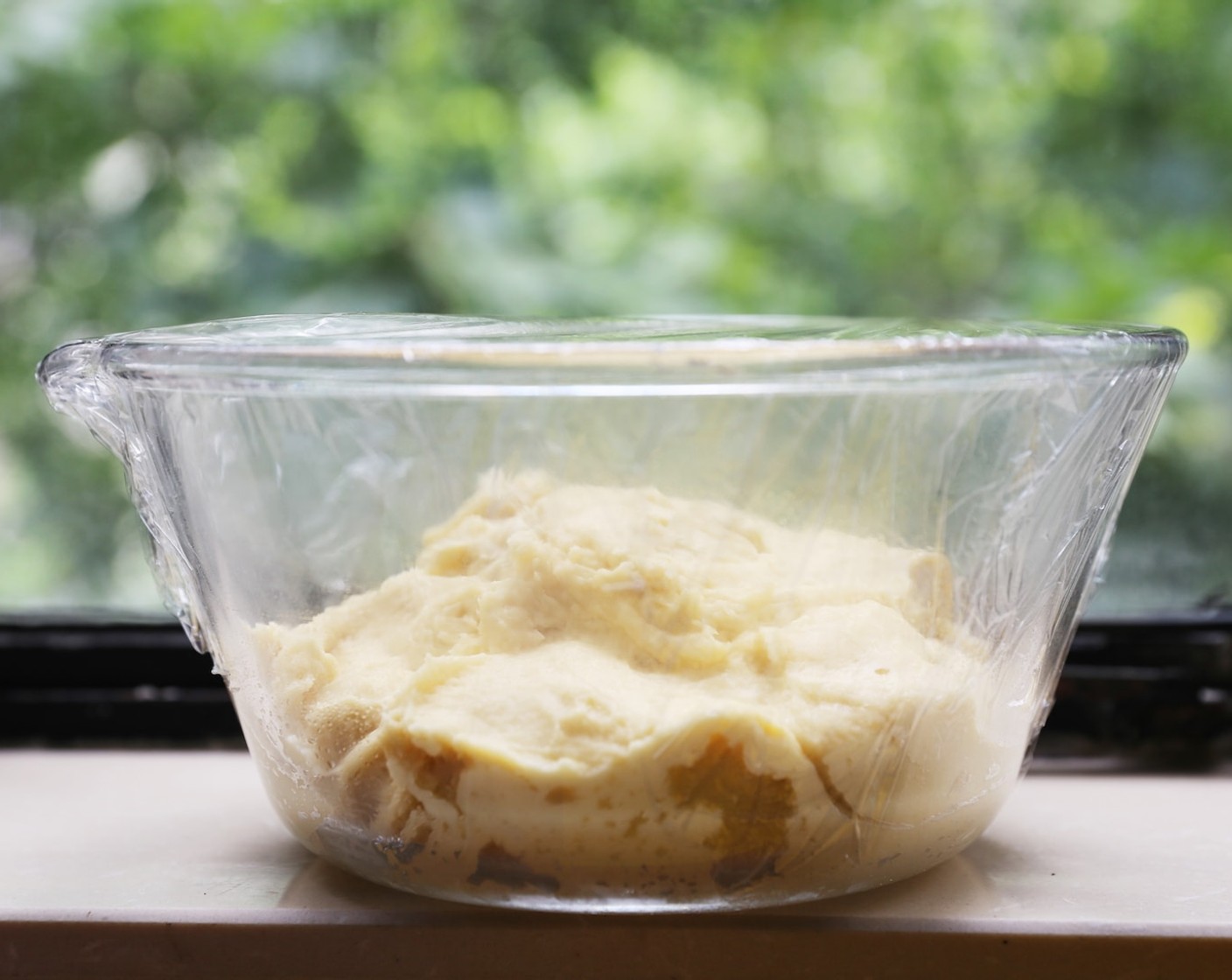 step 8 Place the dough in an oiled bowl and cover with plastic wrap. Leave it in a warm place to rise for about 2-3 hours.