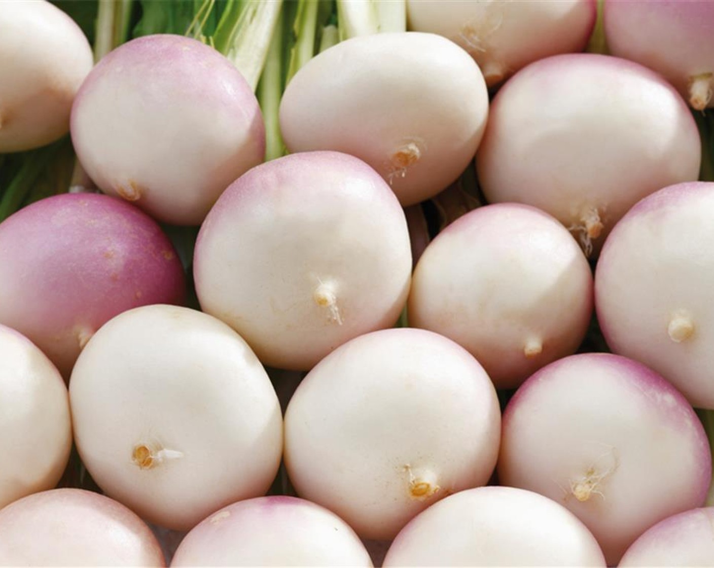 step 4 Wash Turnips (3 3/4 cups).