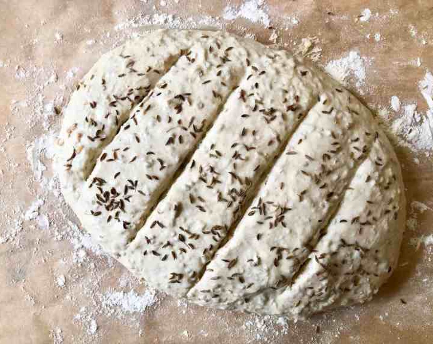 step 14 Slash with 1/2-inch deep parallel cuts across the top of the loaf, using a serrated bread knife or a bread lame.