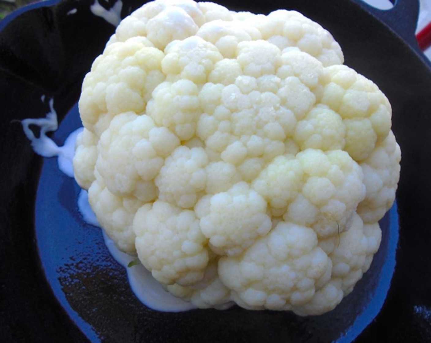 step 8 Turn the large head of cauliflower right-side up and place in a buttered baking dish.