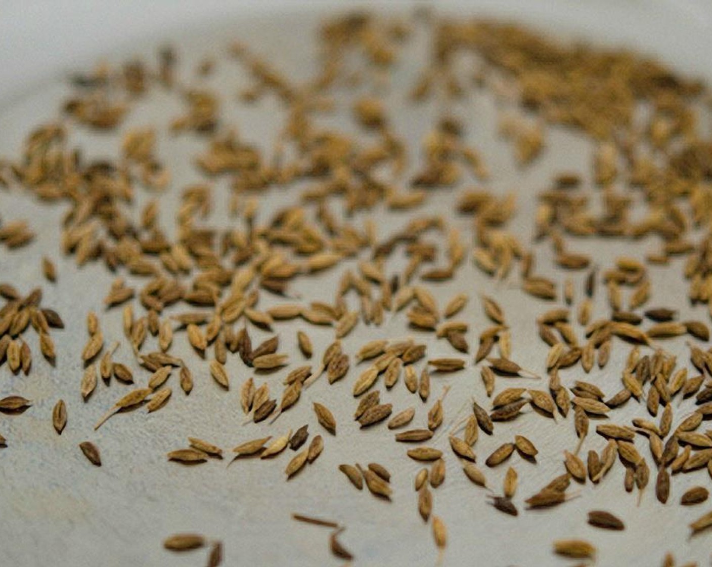 step 2 In a small skillet, toast the Cumin Seeds (1 tsp) until fragrant and lightly browned.