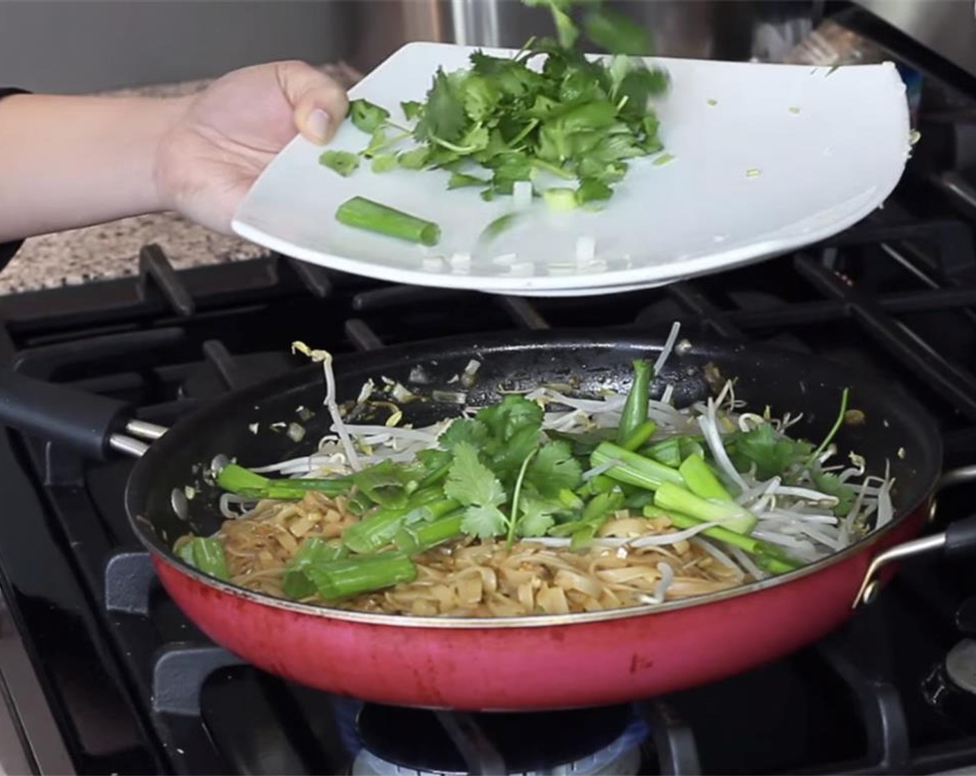 step 17 On the empty side of the pan, add the Bean Sprouts (2 cups), green part of the scallions and Fresh Cilantro (1/2 cup) then toss. Break the egg apart, and toss everything together.