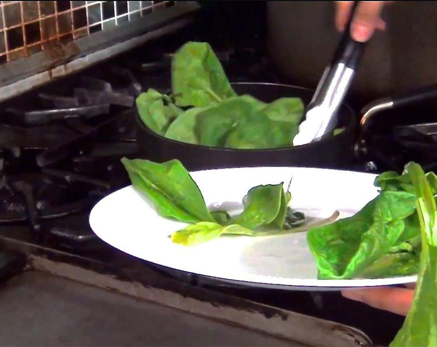step 1 Blanch Fresh Spinach (1/3 bunch) in boiling water with a Salt (to taste) for 10 seconds.