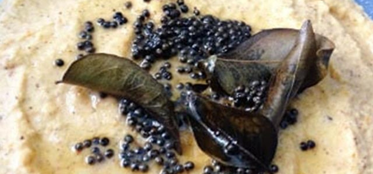 Coconut Chutney with Tomatoes Recipe | SideChef