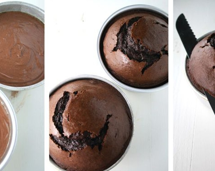 Chocolate Christmas Tree Cake Recipe SideChef