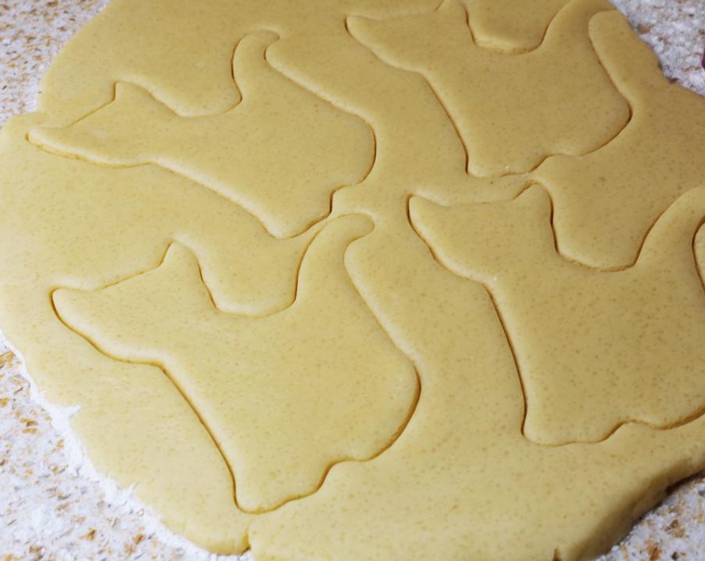 step 6 Roll the dough out to about a 1/4 inch thick and begin cutting cookies.