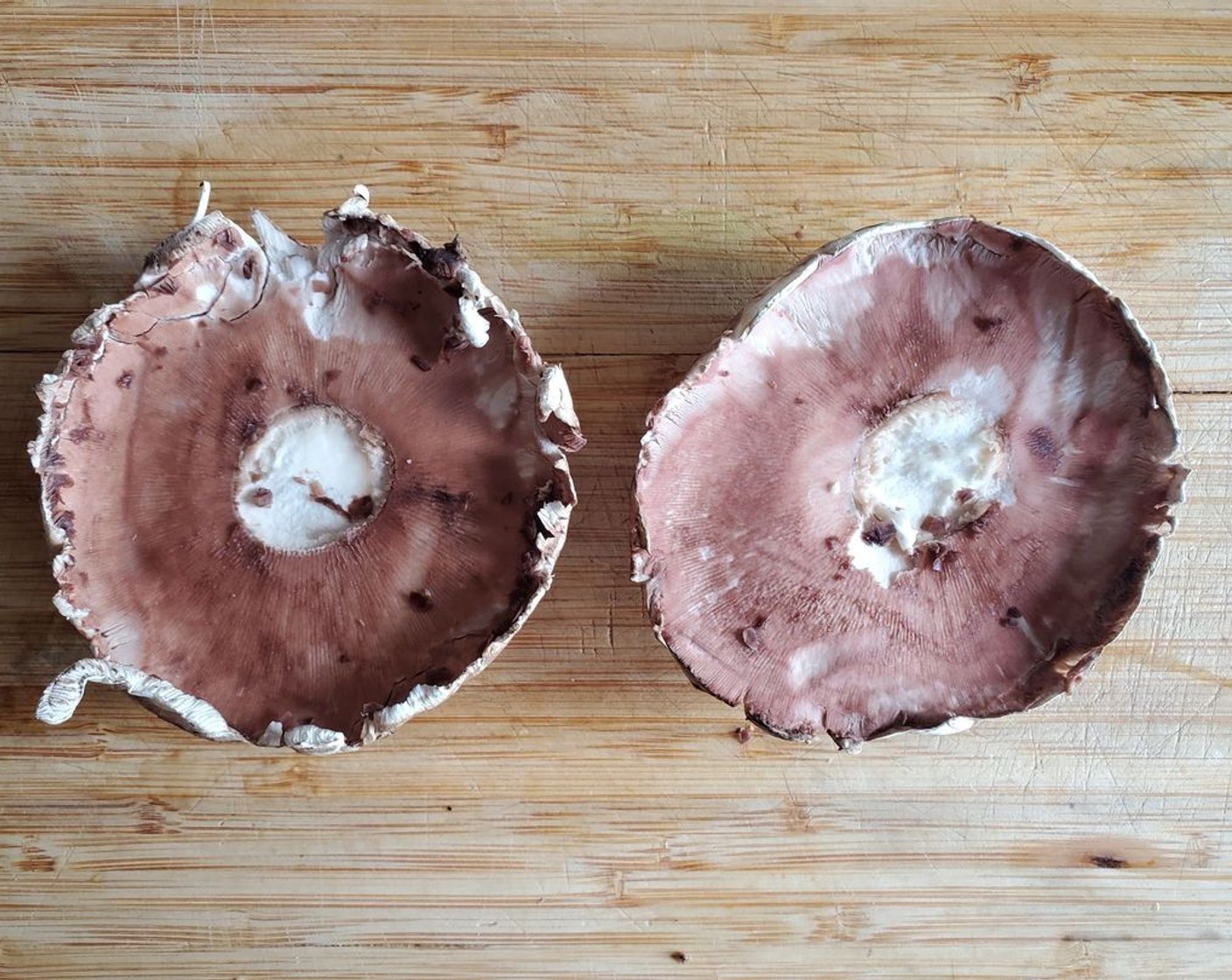 step 3 Wipe Portobello Mushrooms (4) tops with a damp paper towel. Remove the stems and gently scrape away the dark gills. Season mushrooms with Salt (to taste) and Ground Black Pepper (to taste). Drizzle a little regular Olive Oil (as needed) over top.