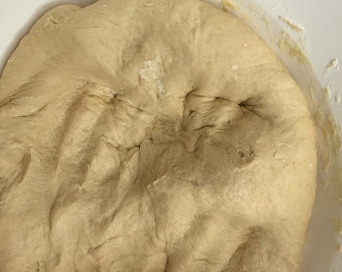 step 2 In a large bowl, mix the Instant Dry Yeast (2 1/3 Tbsp), Water (1 lb), Caster Sugar (1/2 cup), Salt (1 pinch) and Olive Oil (2 oz) together. Gradually add Bread Flour (5 3/4 cups). Using a dough hook or your hands, mix until dough is soft and elastic.