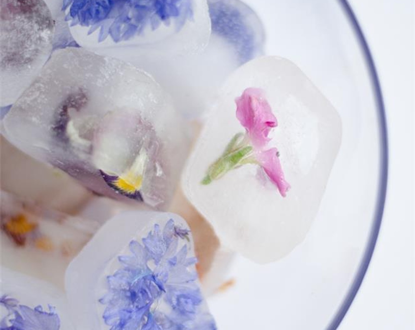 Elderflower and Edible Flower Ice Cubes