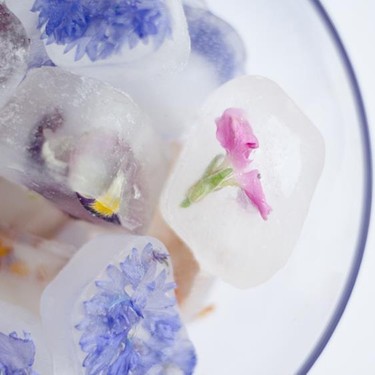 Elderflower and Edible Flower Ice Cubes Recipe | SideChef