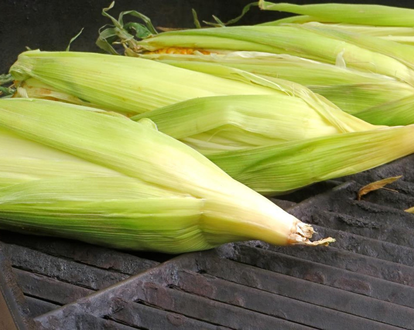 step 5 Preheat the grill to a medium high heat (about 400-450 degrees F/200-230 degrees C). When the grill is hot, place the corn onto the grates. Cook for about 15 minutes until husks are blackened and the corn inside has steamed.