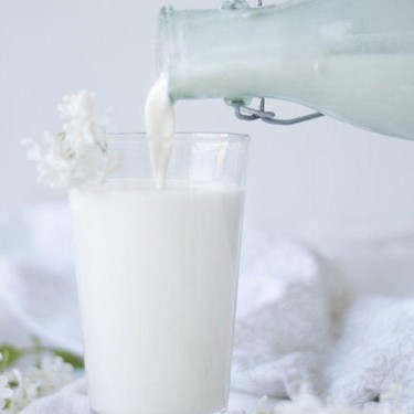 Homemade Cashew Milk Recipe | SideChef