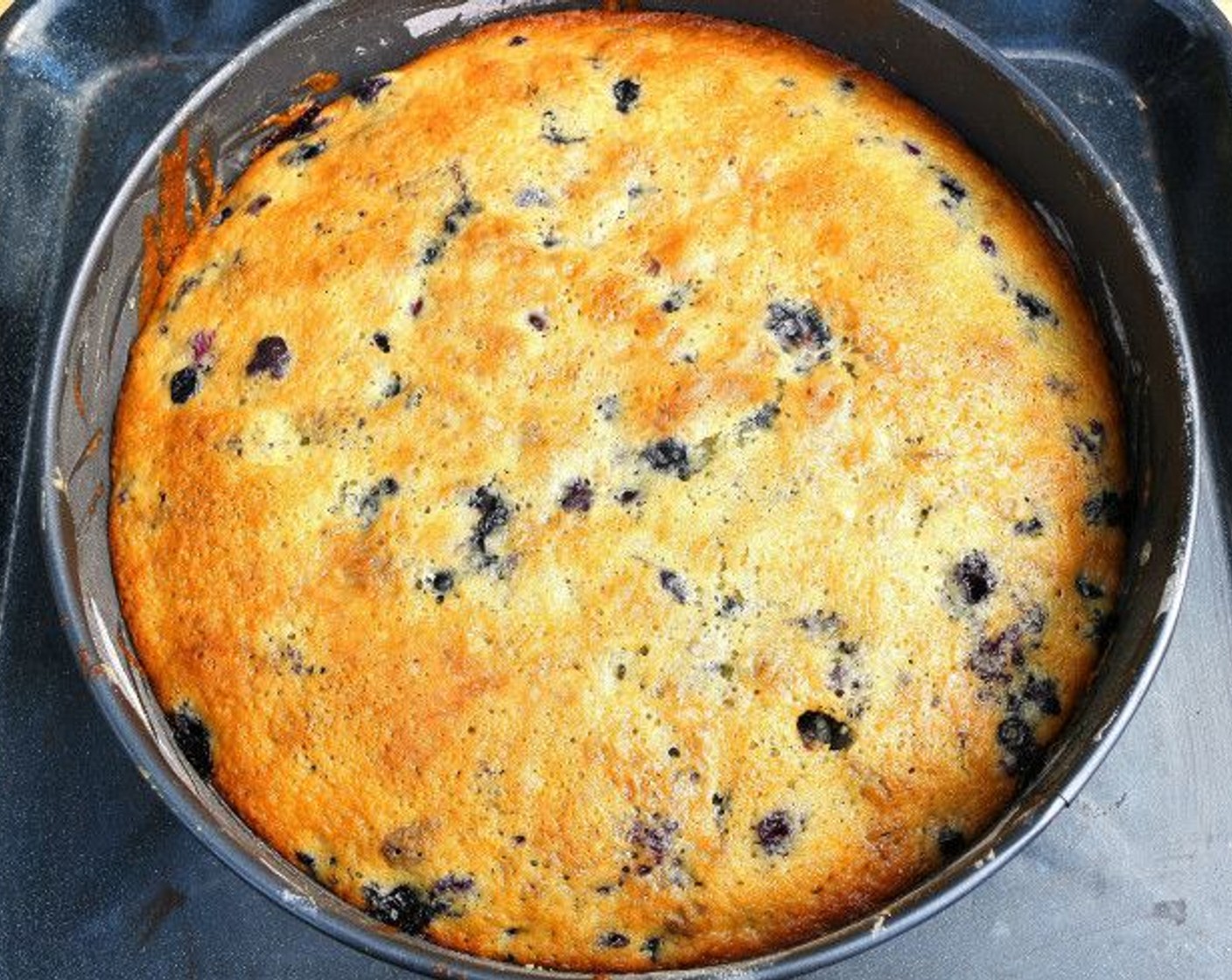 step 8 When the cake is baked through, remove from the oven. Let cool for 10 minutes before removing springform.