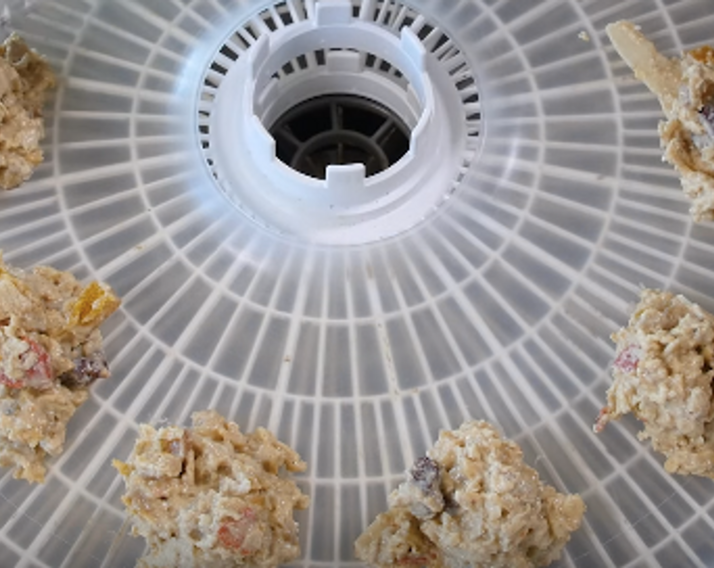 step 8 Using a small cookie scoop, drop ½ to ¾ inch balls of loosely packed granola onto dehydrator trays about ½ inch apart using the solid plastic sheet inserts (or line trays with parchment paper).