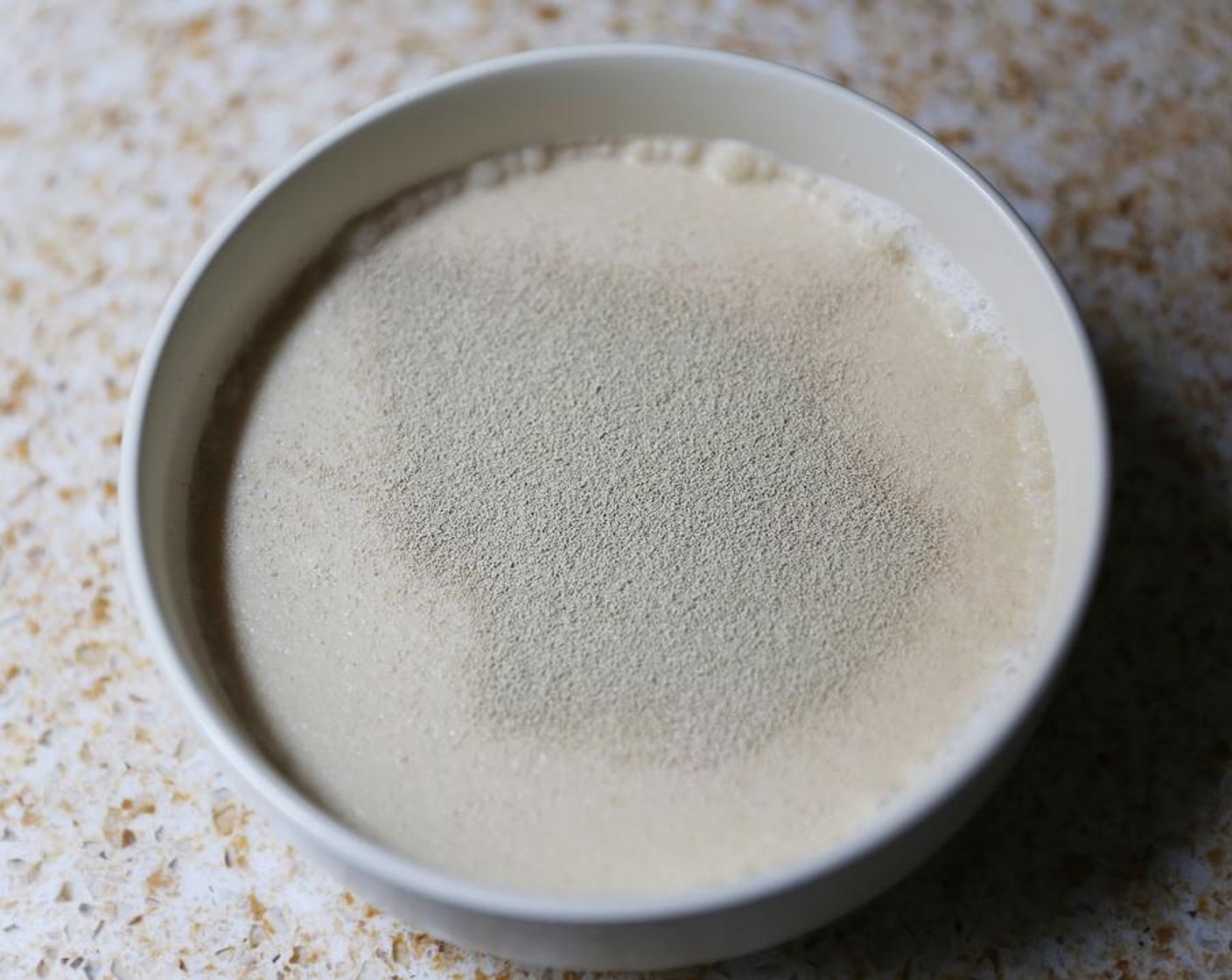 step 1 Warm the Milk (1 1/2 cups) to around 115 degrees F (45 degrees C). Add to a small bowl, add the Granulated Sugar (1 pinch) and sprinkle over the Instant Dry Yeast (2 tsp).